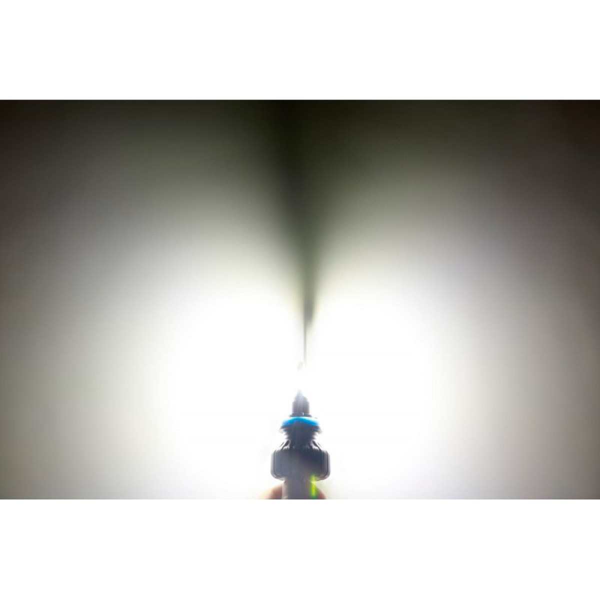Діодна лампочка для авто H11 Carlamp LED Night Vision Gen2 5000lm 12V 25W 5500K комплект 2шт